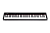 NPK-10-BK Цифровое пианино, черное, Nux Cherub